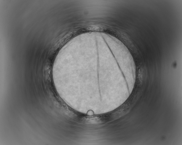 X0000115190322200912091116