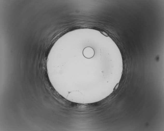 X0000115190325200912091116