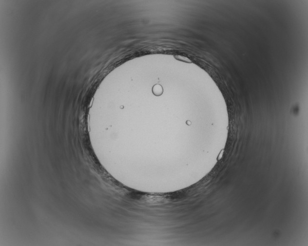 X0000115190327200912091116