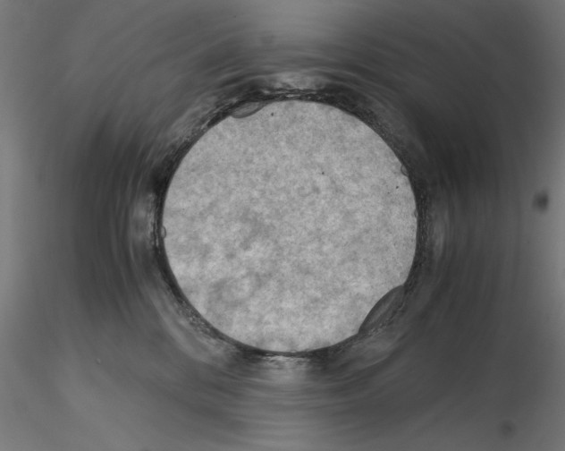 X0000115190328200912091116