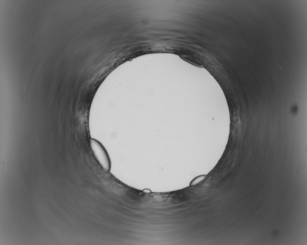 X0000115190329200912091116