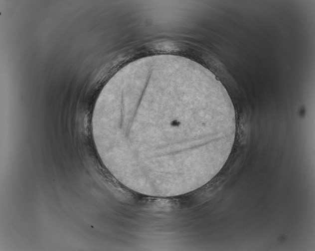 X0000115190330200912091116