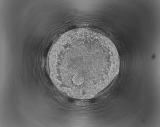 X0000115190331200912091116