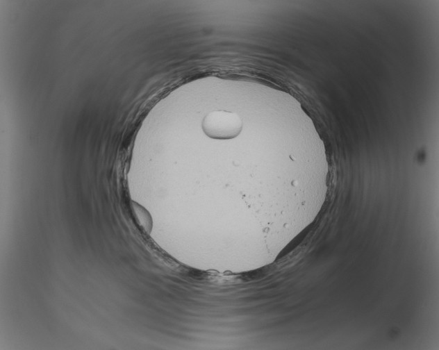 X0000115190333200912091116