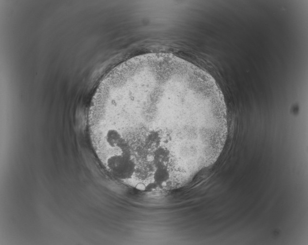 X0000115190335200912091116