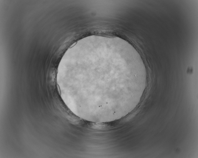 X0000115190336200912091116