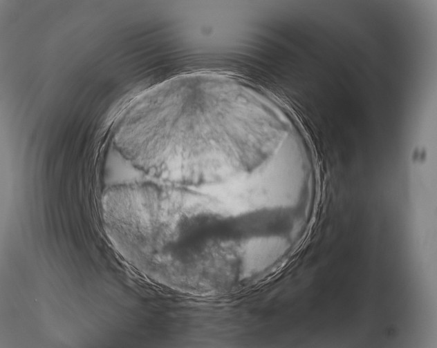 X0000115190337200912091116