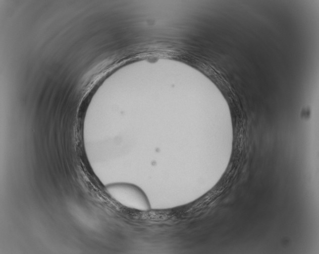 X0000115190338200912091116