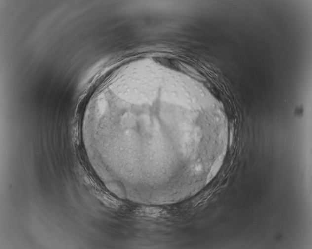 X0000115190339200912091116