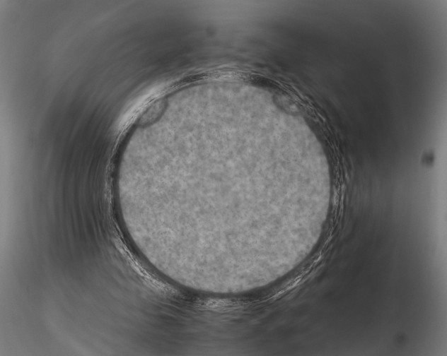 X0000115190341200912091116