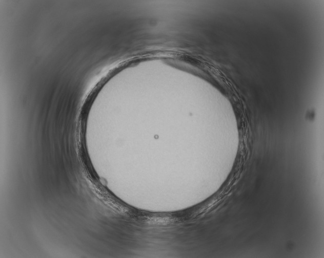 X0000115190342200912091116