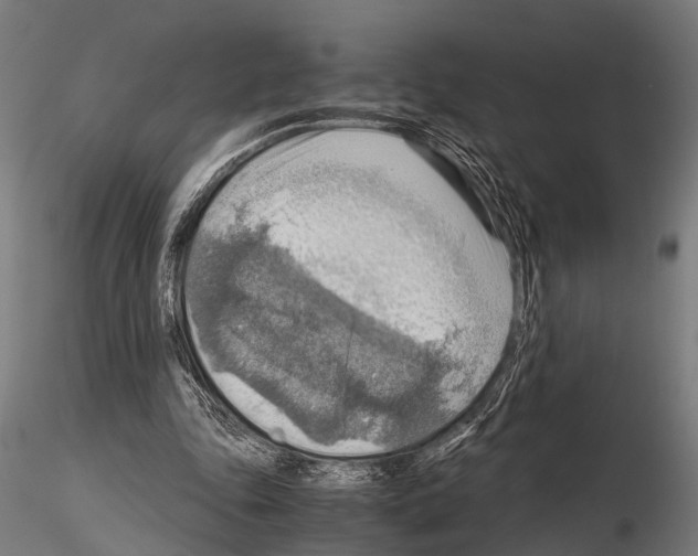 X0000115190343200912091116