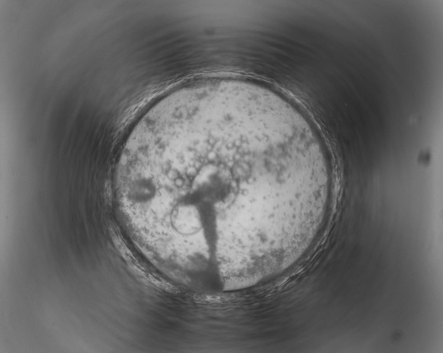 X0000115190345200912091116