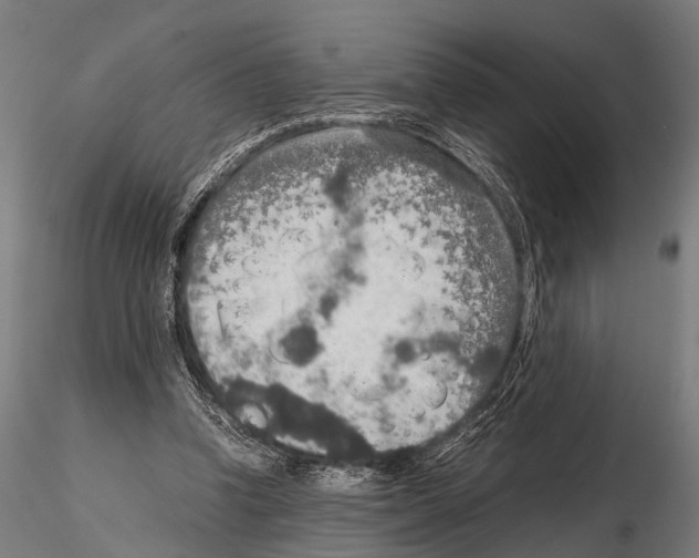 X0000115190346200912091116