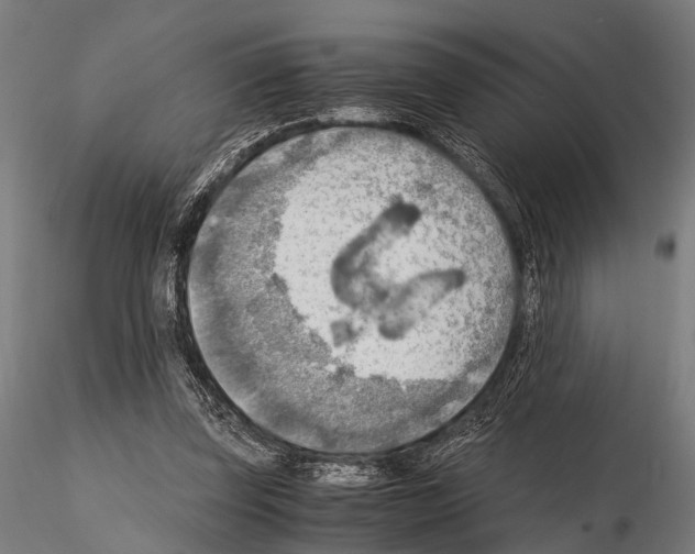 X0000115190347200912091116