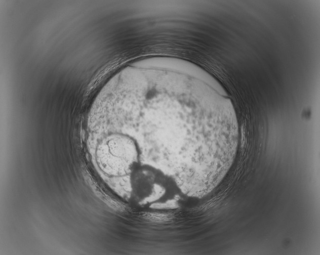 X0000115190349200912091116