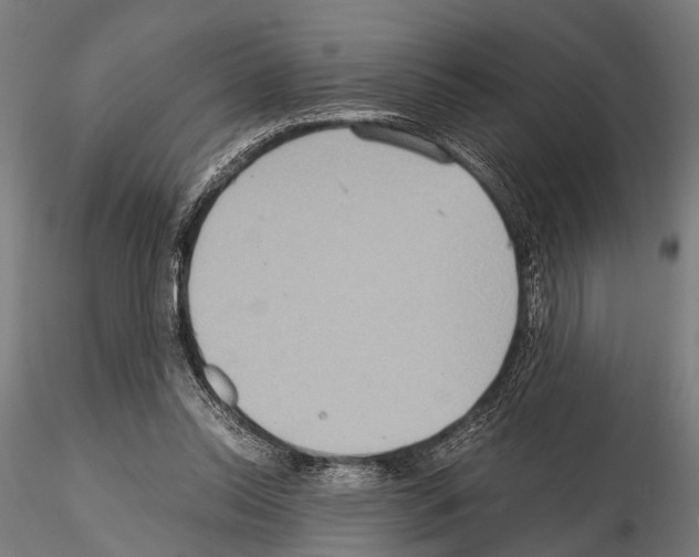 X0000115190350200912091116