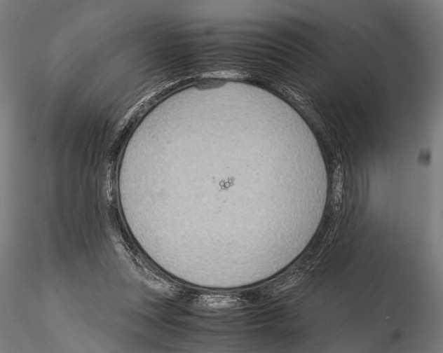 X0000115190351200912091116