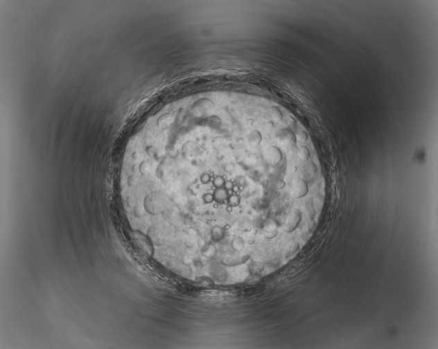 X0000115190354200912091116