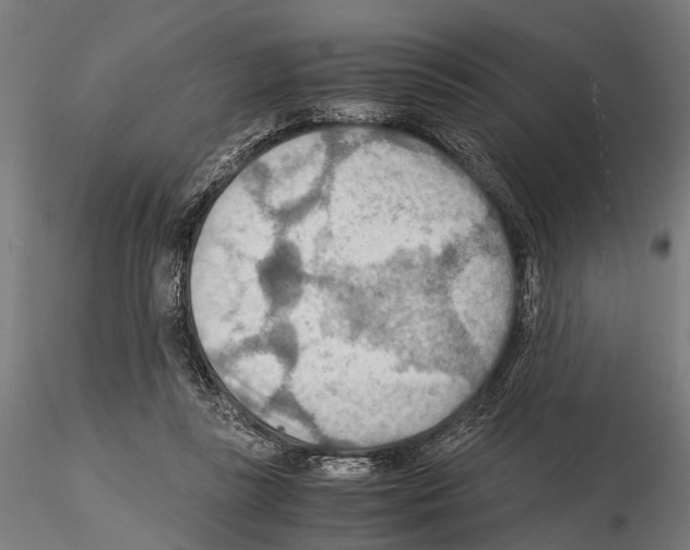 X0000115190355200912091116