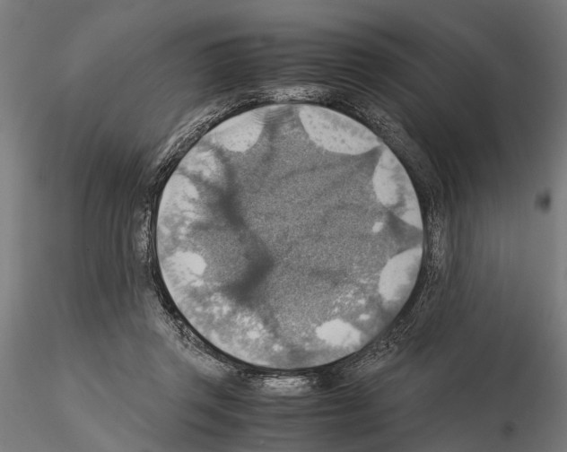 X0000115190357200912091116