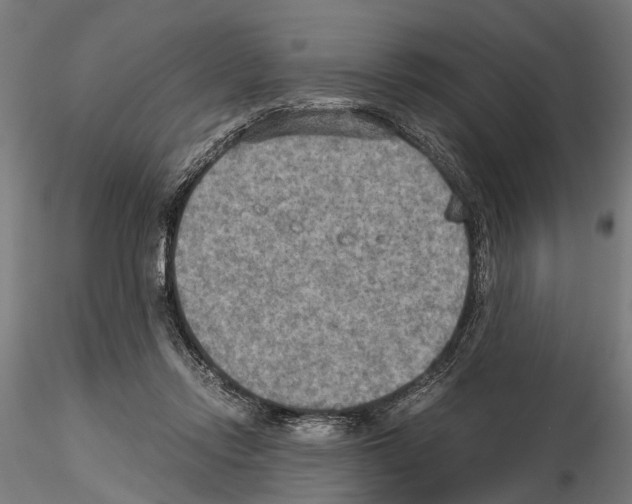 X0000115190358200912091116