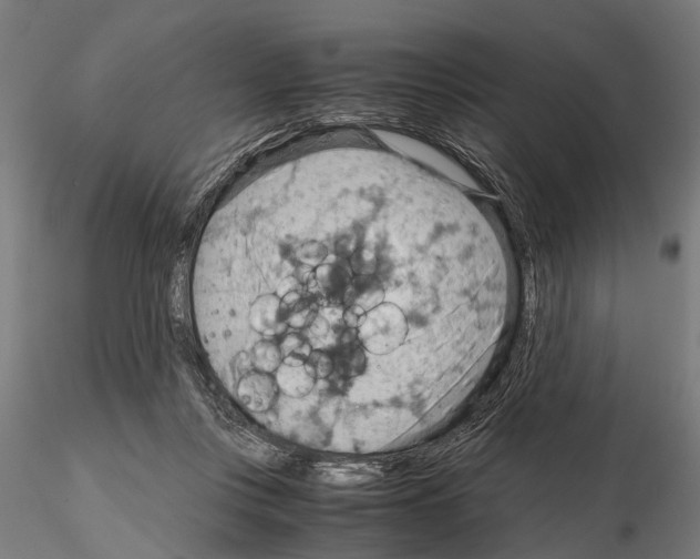 X0000115190359200912091116