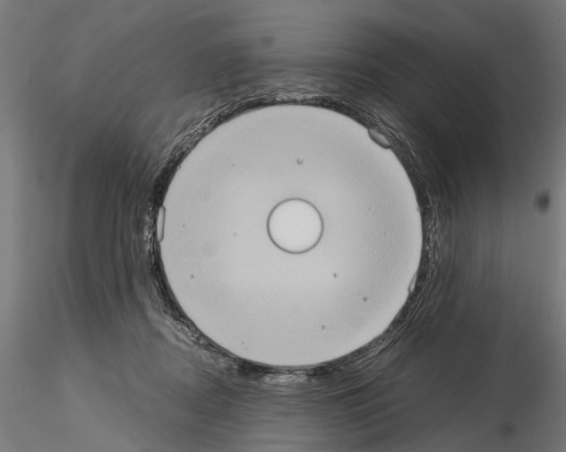 X0000115190362200912091116