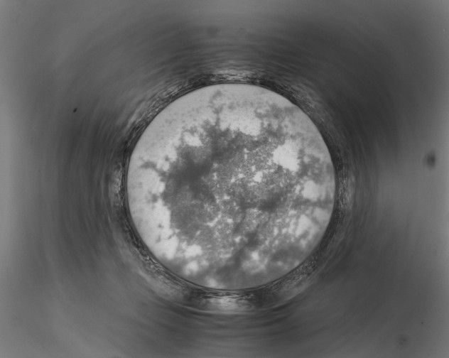 X0000115190365200912091116