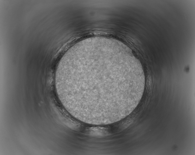 X0000115190367200912091116