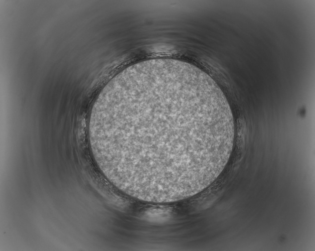 X0000115190369200912091116