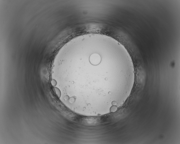 X0000115190370200912091116