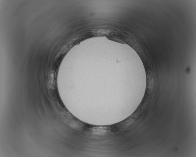 X0000115190378200912091116