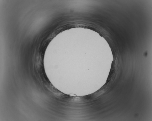 X0000115190382200912091116