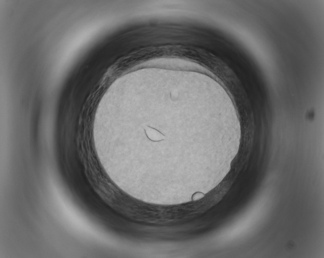 X0000115190383200912091116