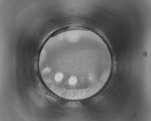 X0000115190386200912091116