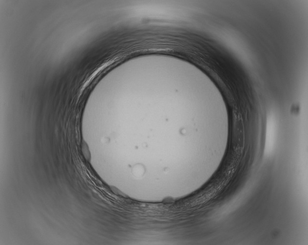 X0000115190387200912091116