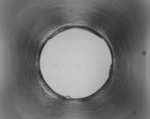 X0000115190389200912091115