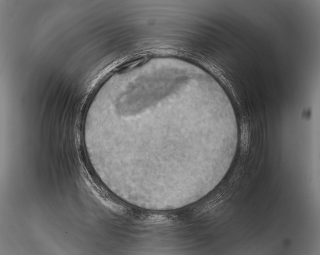 X0000115190390200912091115