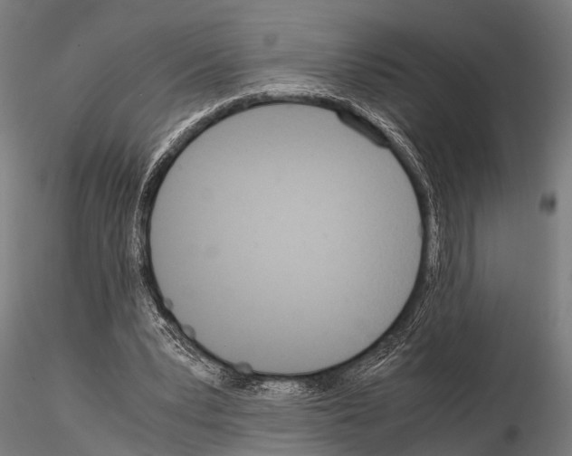 X0000115190391200912091115