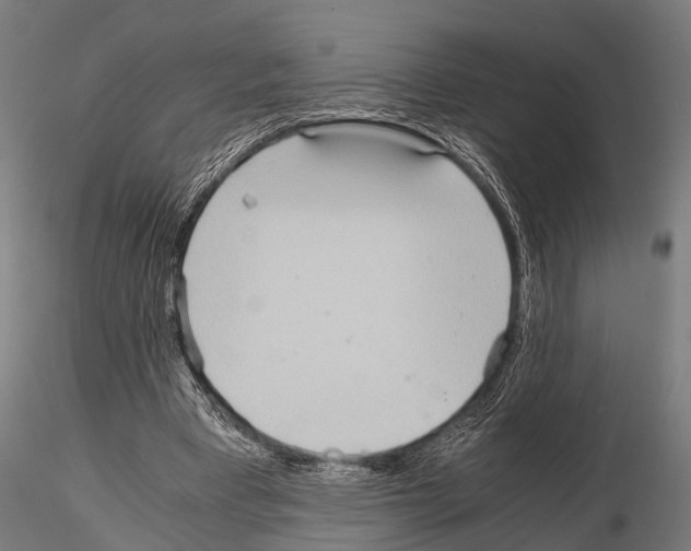 X0000115190393200912091115