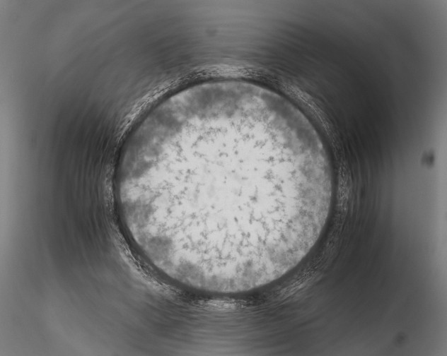 X0000115190394200912091115