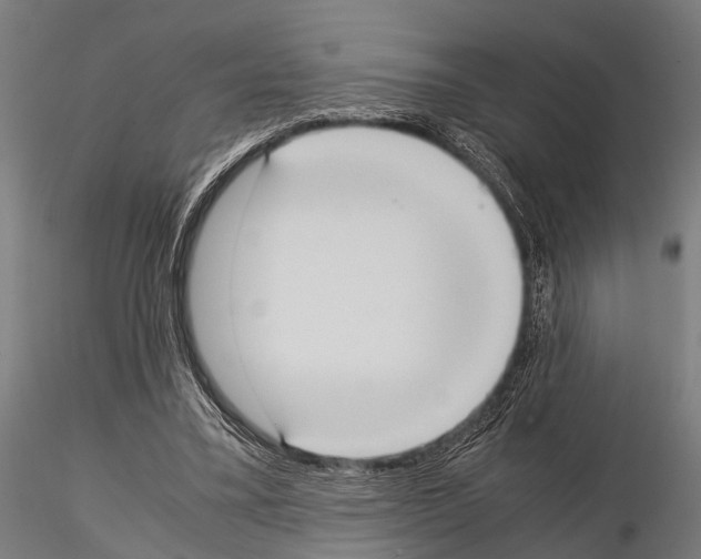 X0000115190395200912091115