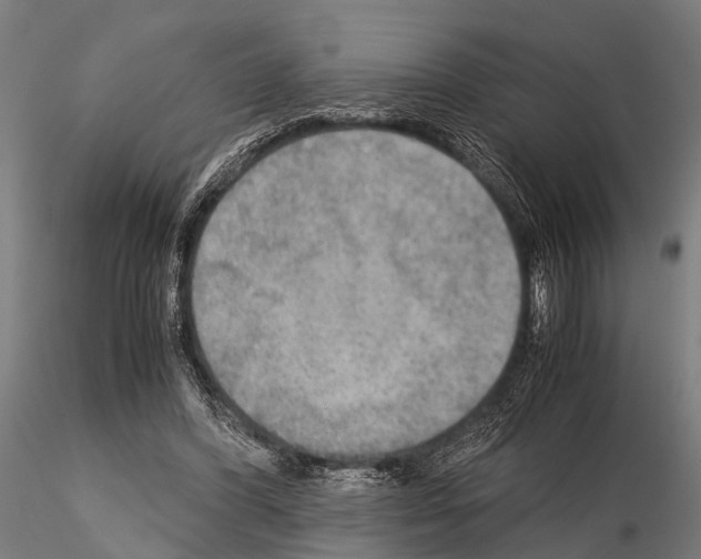 X0000115190396200912091115