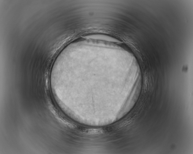 X0000115190398200912091115