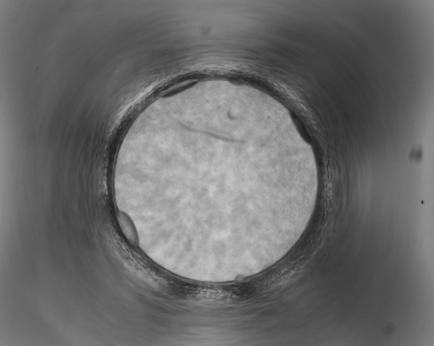 X0000115190399200912091115