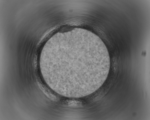 X0000115190400200912091115