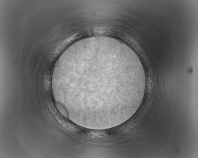 X0000115190401200912091115