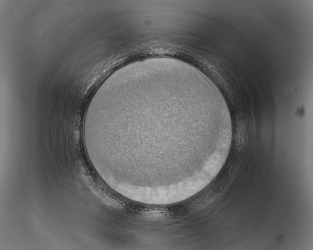 X0000115190402200912091115