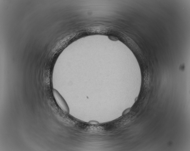 X0000115190403200912091115